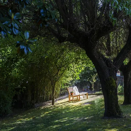 Casa Da Camara Tondela