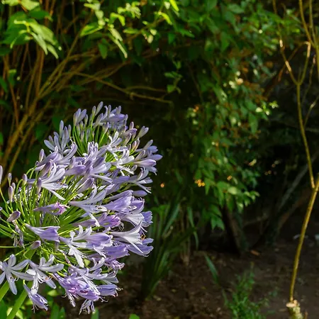 Panzió Casa Da Camara