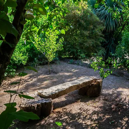 Panzió Casa Da Camara Tondela
