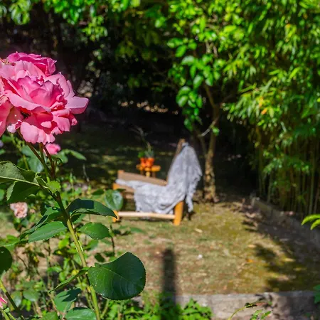 Casa Da Camara Tondela