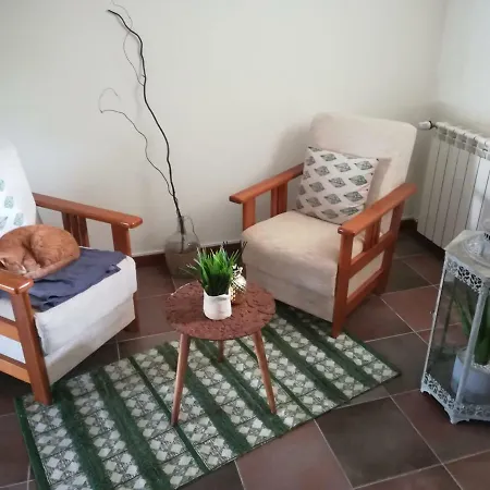 Bed & Breakfast Casa Da Camara Tondela