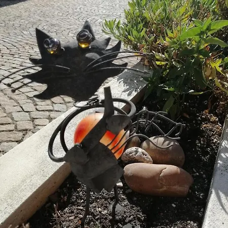 Casa Da Camara Tondela