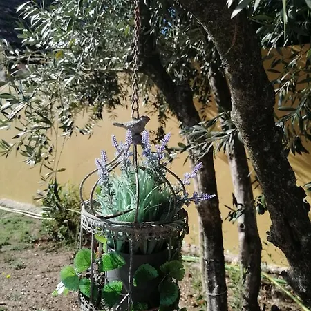 住宿加早餐酒店 Casa Da Camara 通德拉