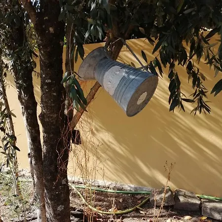 Casa Da Camara 住宿加早餐酒店 3*