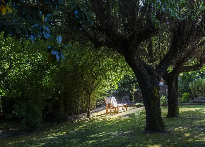 Casa Da Câmara Tondela