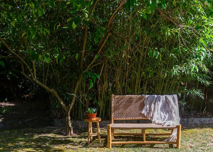 Couette-café Casa Da Câmara Tondela