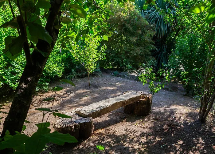 Couette-café Casa Da Câmara Tondela