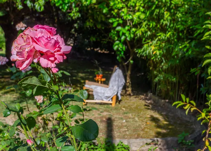 Casa Da Câmara Tondela