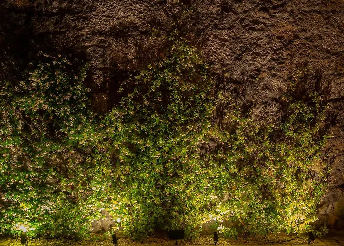 Casa Da Câmara Couette-café Tondela