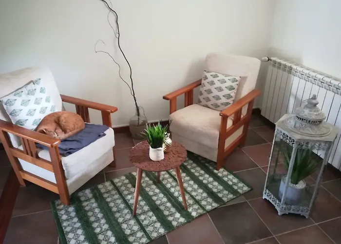 Couette-café Casa Da Câmara Tondela