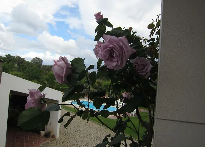 Casa Da Câmara Tondela