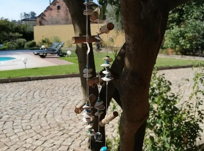 Couette-café Casa Da Câmara