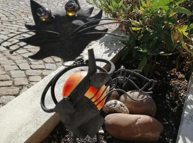 Casa Da Câmara Tondela