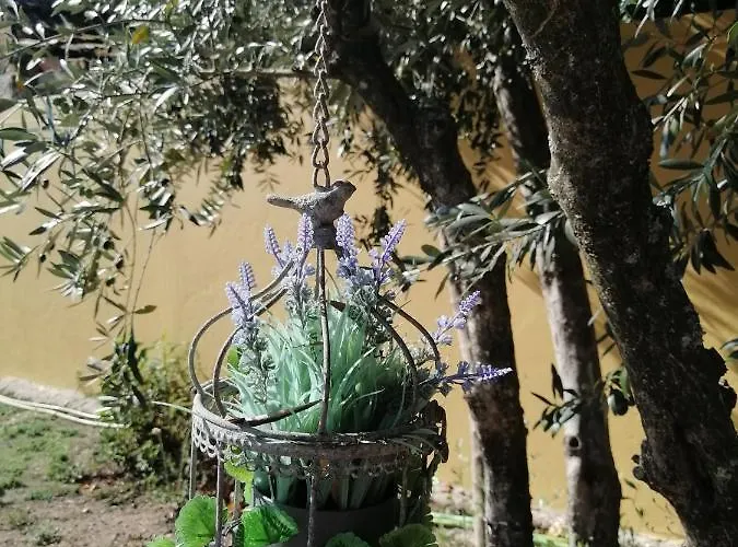 Couette-café Casa Da Câmara Tondela